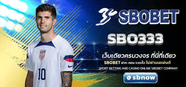 SBO333